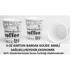 4 OZ KARTON BARDAK 